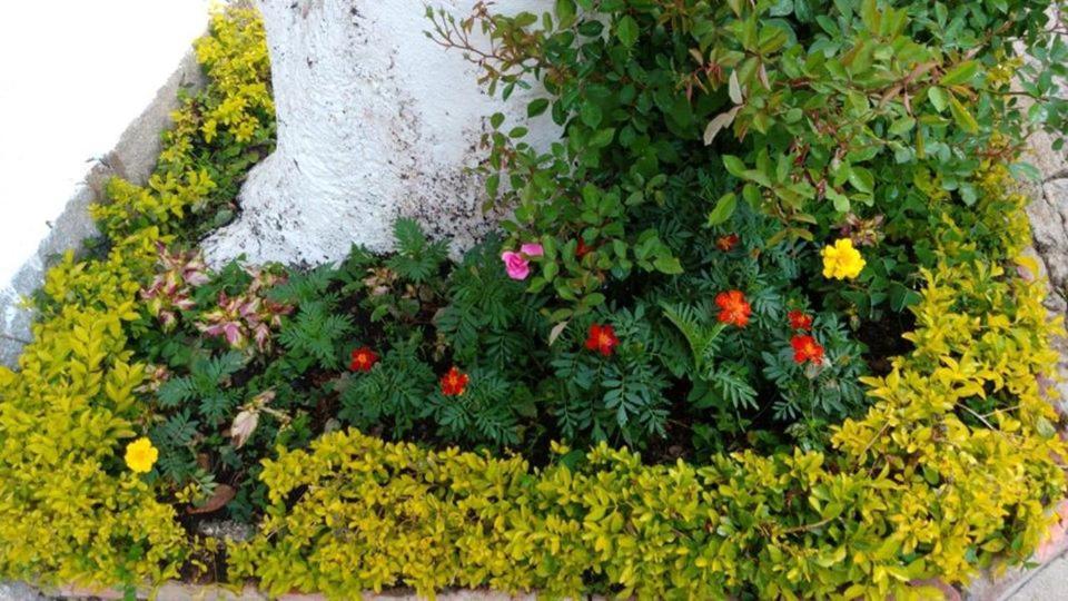 Pousada Sitio Sossego Correas Exterior foto